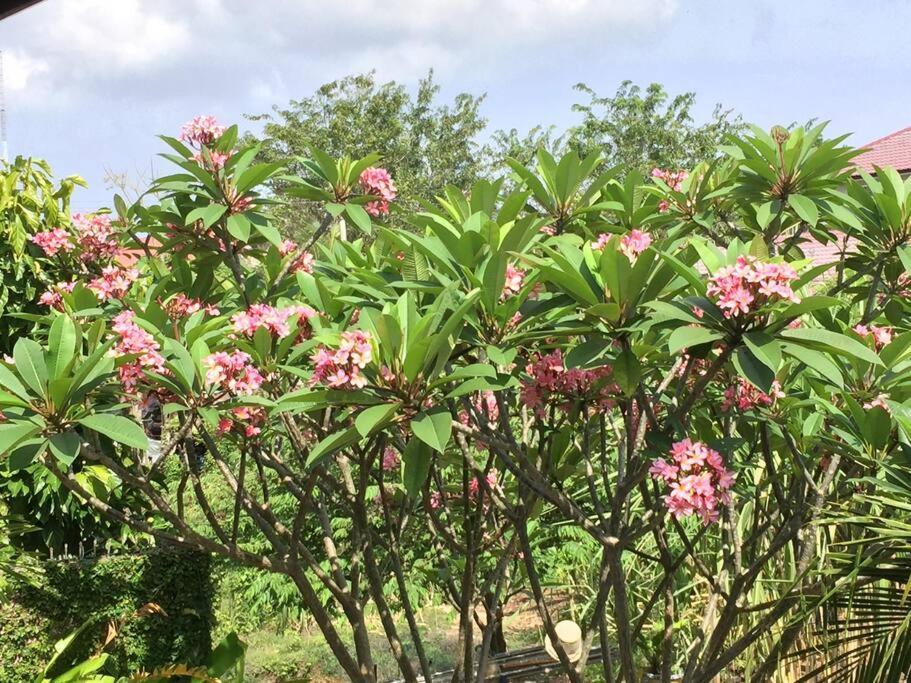 Banda Aceh Batoh Homestay - Private - Fits Up To 8 Persons ภายนอก รูปภาพ